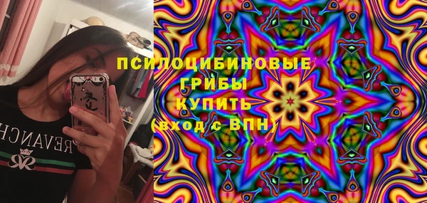 соль ск Зеленокумск