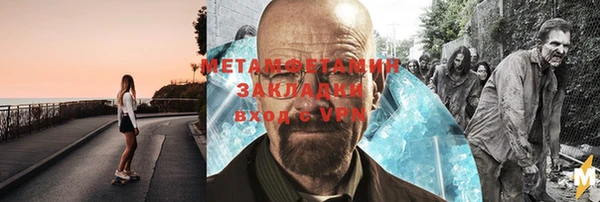 прущие грибы Карпинск